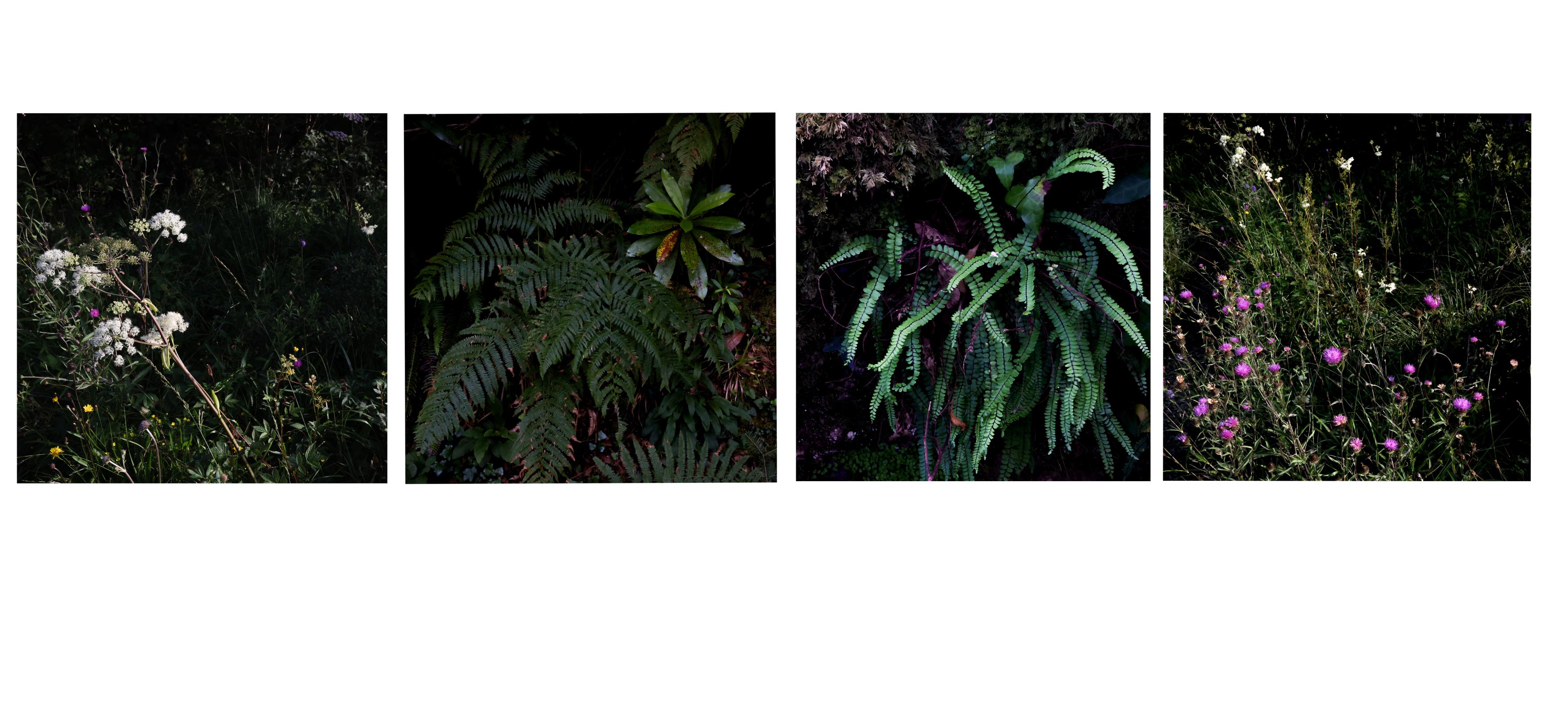 Poetry of Small Things